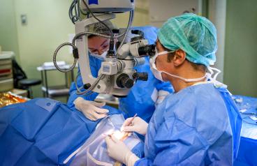 operation-cataracte